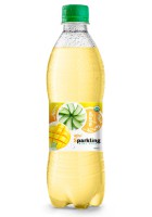 Напитки оптовые Sparkling aloe vera с манго 500мл