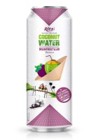 RITA MANUFACTURER КОКОСОВАЯ ВОДА С МАНГОСТИНОВЫМ СОКОМ В БАНКЕ 500 МЛ