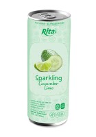 RITA BRAND 250МЛ КОНСЕРВИРОВАННЫЙ ИГРИСТОЙ СОКОВЫЙ НАПИТОК