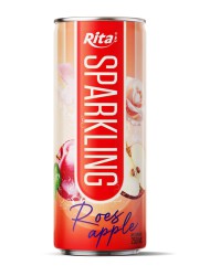 Sparkling fruit 250ml can 01