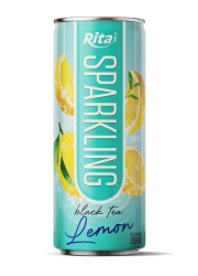 Sparkling fruit 250ml can 02