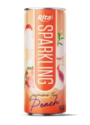 Sparkling fruit 250ml can 03