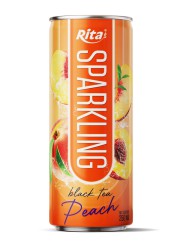 Sparkling fruit 250ml can 05