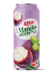 real fruit mangosteen fruit juice combinations drink 490ml cans 