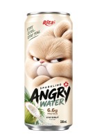 Sparkling Coconut Water with Protein 330ml – Angry Water