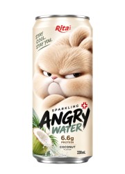 Sparkling Coconut Water with Protein 330ml – Angry Water