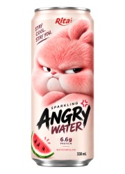 Sparkling Watermelon Juice with Protein 330ml – Angry Water