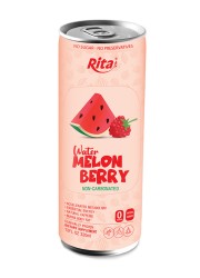 watermelon berry juic