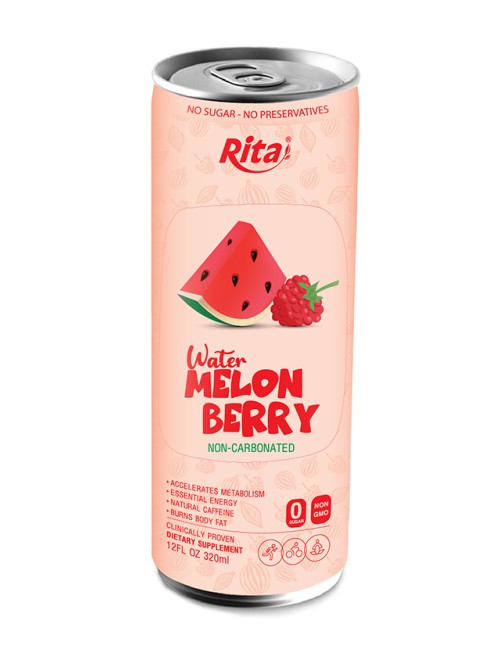 watermelon berry juic