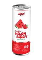 OEM, ODM 250МЛ КОНСЕРВИРОВАННЫЙ НАПИТОК ИЗ ЯГОДНОГО ДУБА